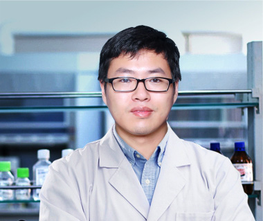 cuadrilla de zhou